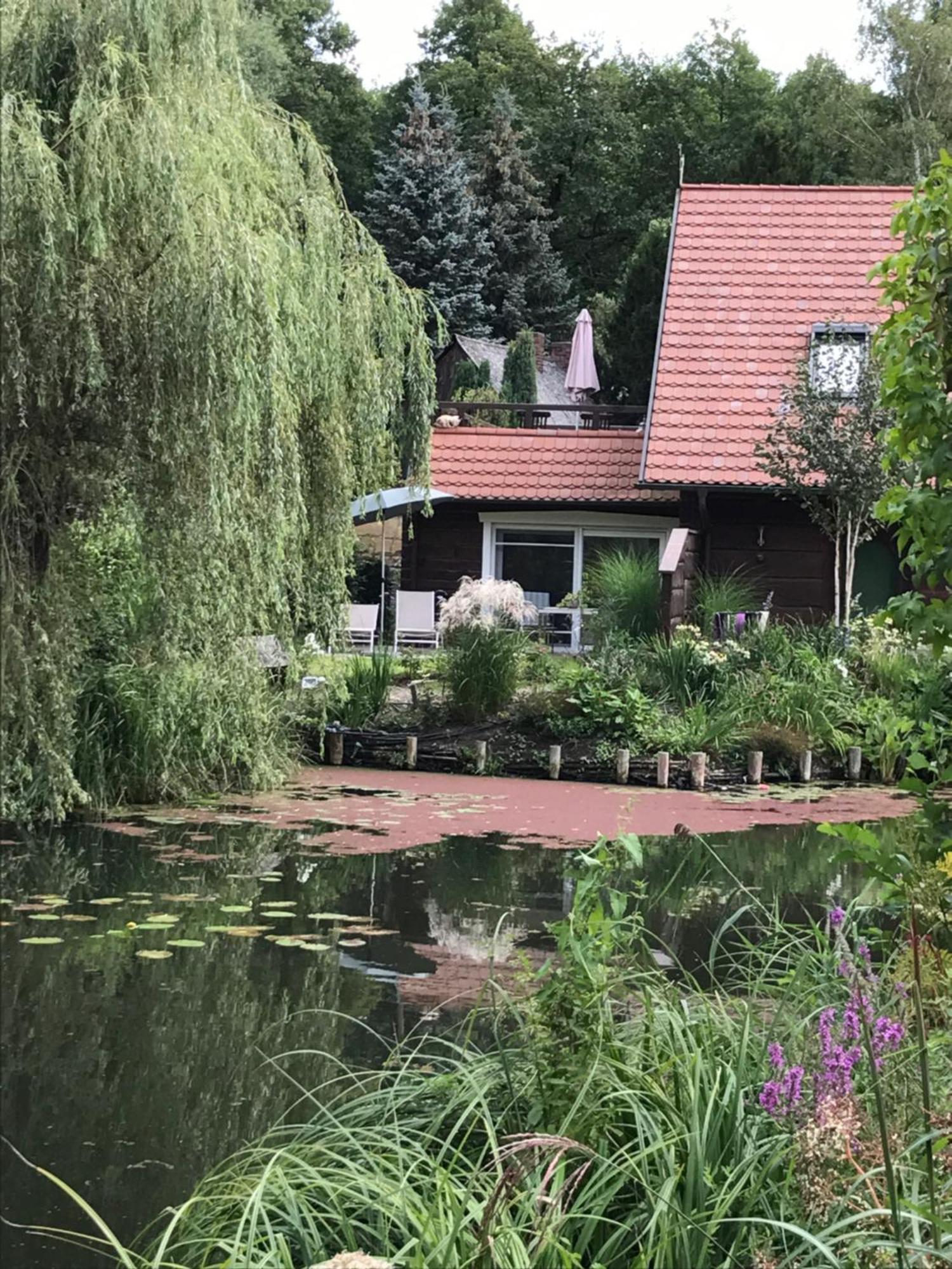 Ferienwohnungen Direkt Am Wasser Burg  Eksteriør bilde